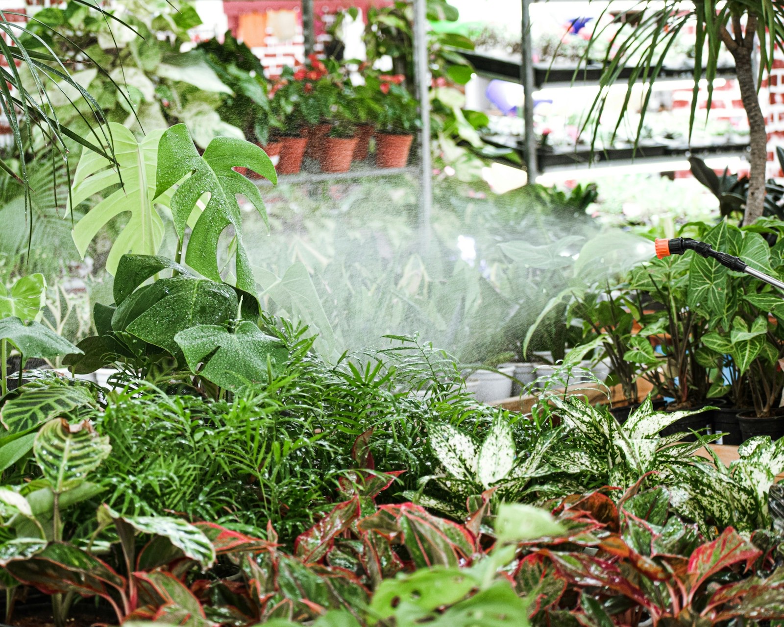 Agricultura y agroindustria: aplicación de tratamiento de agua